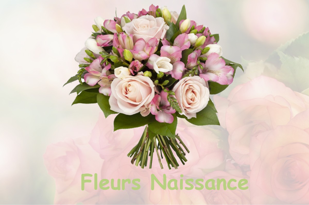 fleurs naissance LE-BURGAUD