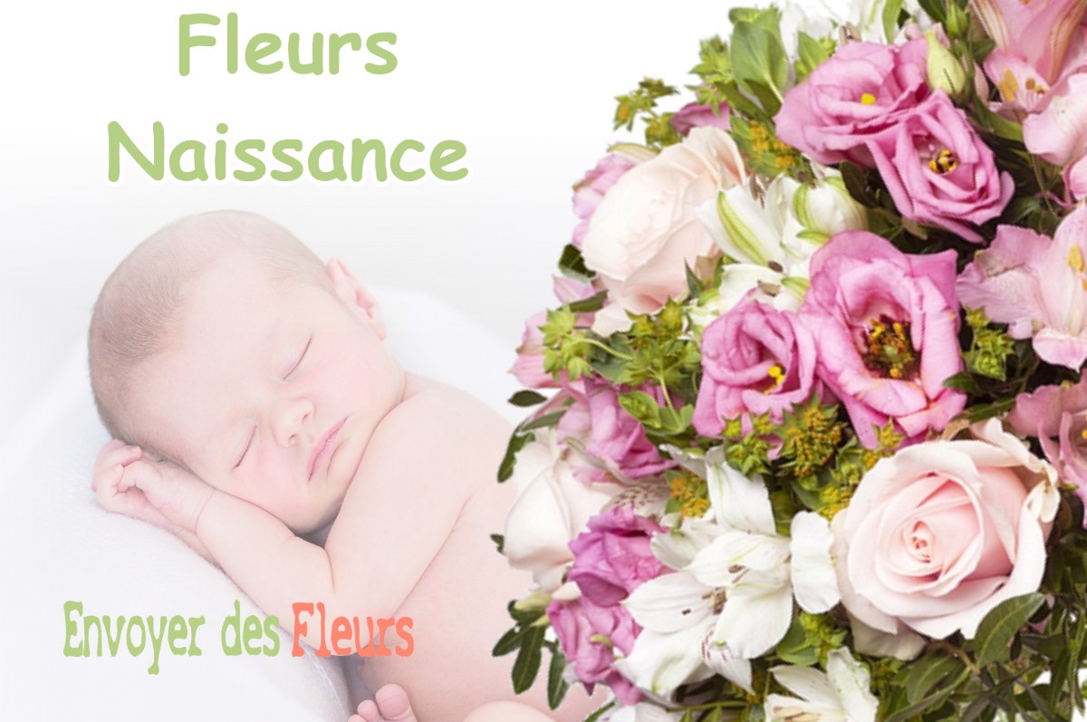 lIVRAISON FLEURS NAISSANCE à LE-BURGAUD